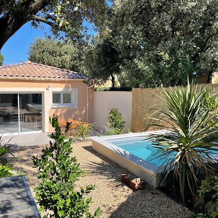 Magnifique Villa Avec Piscine En Provence Bédarrides Exterior foto